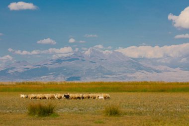 Sultan Bataklıkları, Orta Anadolu Bölgesi Kayseri il sınırları içinde Develi, Yahyal ve Yeilhisar ilçeleri tarafından oluşturulan üçgende yer almaktadır..