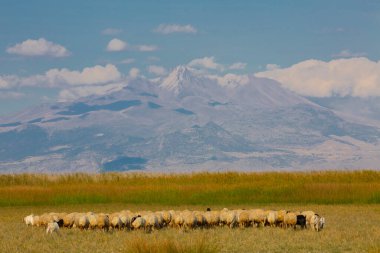 Sultan Bataklıkları, Orta Anadolu Bölgesi Kayseri il sınırları içinde Develi, Yahyal ve Yeilhisar ilçeleri tarafından oluşturulan üçgende yer almaktadır..