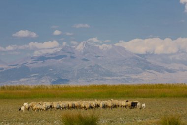 Sultan Bataklıkları, Orta Anadolu Bölgesi Kayseri il sınırları içinde Develi, Yahyal ve Yeilhisar ilçeleri tarafından oluşturulan üçgende yer almaktadır..