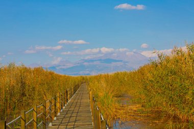 Sultan Bataklıkları, Orta Anadolu Bölgesi Kayseri il sınırları içinde Develi, Yahyal ve Yeilhisar ilçeleri tarafından oluşturulan üçgende yer almaktadır..