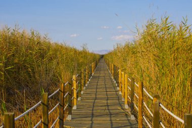 Sultan Bataklıkları, Orta Anadolu Bölgesi Kayseri il sınırları içinde Develi, Yahyal ve Yeilhisar ilçeleri tarafından oluşturulan üçgende yer almaktadır..