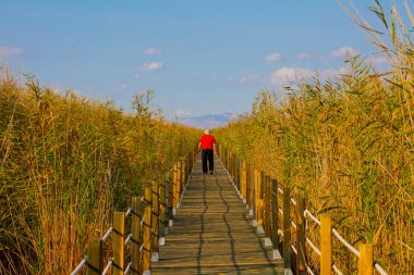 Sultan Bataklıkları, Orta Anadolu Bölgesi Kayseri il sınırları içinde Develi, Yahyal ve Yeilhisar ilçeleri tarafından oluşturulan üçgende yer almaktadır..