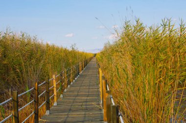 Sultan Bataklıkları, Orta Anadolu Bölgesi Kayseri il sınırları içinde Develi, Yahyal ve Yeilhisar ilçeleri tarafından oluşturulan üçgende yer almaktadır..