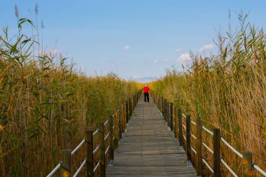 Sultan Bataklıkları, Orta Anadolu Bölgesi Kayseri il sınırları içinde Develi, Yahyal ve Yeilhisar ilçeleri tarafından oluşturulan üçgende yer almaktadır..