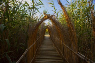 Sultan Bataklıkları, Orta Anadolu Bölgesi Kayseri il sınırları içinde Develi, Yahyal ve Yeilhisar ilçeleri tarafından oluşturulan üçgende yer almaktadır..