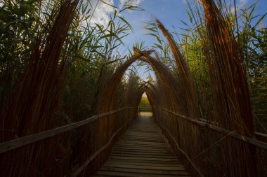 Sultan Bataklıkları, Orta Anadolu Bölgesi Kayseri il sınırları içinde Develi, Yahyal ve Yeilhisar ilçeleri tarafından oluşturulan üçgende yer almaktadır..
