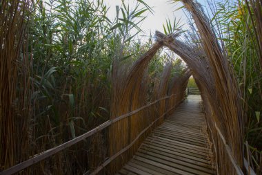 Sultan Bataklıkları, Orta Anadolu Bölgesi Kayseri il sınırları içinde Develi, Yahyal ve Yeilhisar ilçeleri tarafından oluşturulan üçgende yer almaktadır..