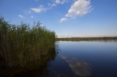 Sultan Bataklıkları, Orta Anadolu Bölgesi Kayseri il sınırları içinde Develi, Yahyal ve Yeilhisar ilçeleri tarafından oluşturulan üçgende yer almaktadır..