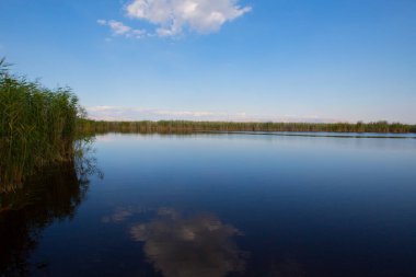 Sultan Bataklıkları, Orta Anadolu Bölgesi Kayseri il sınırları içinde Develi, Yahyal ve Yeilhisar ilçeleri tarafından oluşturulan üçgende yer almaktadır..