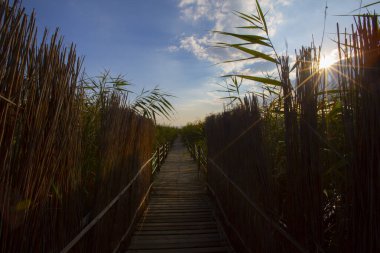 Sultan Bataklıkları, Orta Anadolu Bölgesi Kayseri il sınırları içinde Develi, Yahyal ve Yeilhisar ilçeleri tarafından oluşturulan üçgende yer almaktadır..