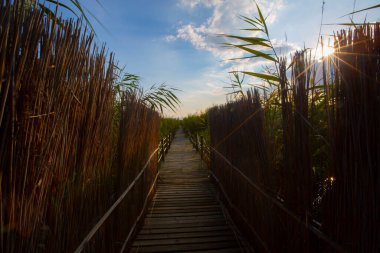 Sultan Bataklıkları, Orta Anadolu Bölgesi Kayseri il sınırları içinde Develi, Yahyal ve Yeilhisar ilçeleri tarafından oluşturulan üçgende yer almaktadır..