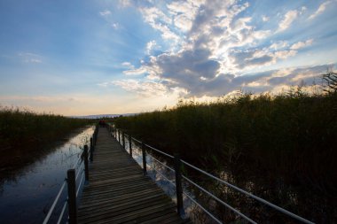 Sultan Bataklıkları, Orta Anadolu Bölgesi Kayseri il sınırları içinde Develi, Yahyal ve Yeilhisar ilçeleri tarafından oluşturulan üçgende yer almaktadır..