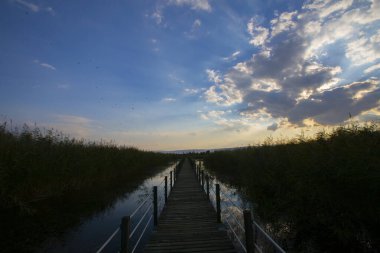 Sultan Bataklıkları, Orta Anadolu Bölgesi Kayseri il sınırları içinde Develi, Yahyal ve Yeilhisar ilçeleri tarafından oluşturulan üçgende yer almaktadır..