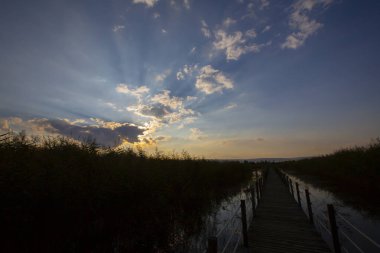 Sultan Bataklıkları, Orta Anadolu Bölgesi Kayseri il sınırları içinde Develi, Yahyal ve Yeilhisar ilçeleri tarafından oluşturulan üçgende yer almaktadır..