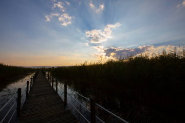 Sultan Bataklıkları, Orta Anadolu Bölgesi Kayseri il sınırları içinde Develi, Yahyal ve Yeilhisar ilçeleri tarafından oluşturulan üçgende yer almaktadır..