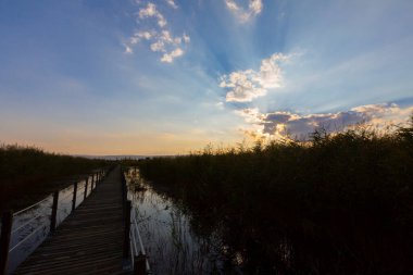 Sultan Bataklıkları, Orta Anadolu Bölgesi Kayseri il sınırları içinde Develi, Yahyal ve Yeilhisar ilçeleri tarafından oluşturulan üçgende yer almaktadır..