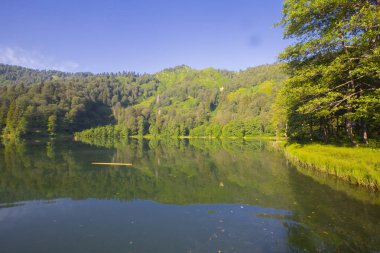 Borcka Karagl Doğa Parkı, Artvin 'in en önemli turizm merkezlerinden biri.