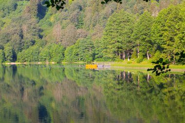 Borcka Karagl Doğa Parkı, Artvin 'in en önemli turizm merkezlerinden biri.