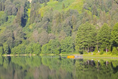Borcka Karagl Doğa Parkı, Artvin 'in en önemli turizm merkezlerinden biri.