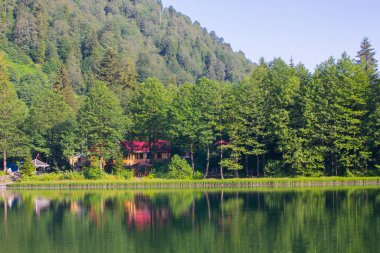 Borcka Karagl Doğa Parkı, Artvin 'in en önemli turizm merkezlerinden biri.