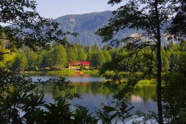Borcka Karagl Doğa Parkı, Artvin 'in en önemli turizm merkezlerinden biri.