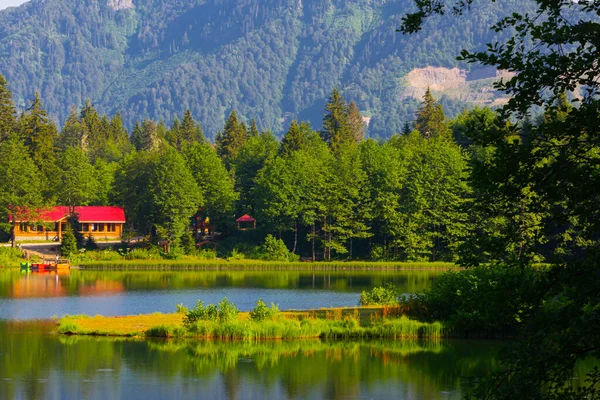 Borcka Karagl Nature Park One Artvin Most Important Tourism Centers — Stock Photo, Image