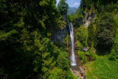 Maral Waterfall, Artvin, Borcka bölgesindeki Karal Dağları 'ndaki Maral Stream şelalesi. Şelale tek bir eğimden düşüyor, 63 metre yüksekliğinde..