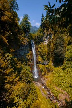 Maral Waterfall, Artvin, Borcka bölgesindeki Karal Dağları 'ndaki Maral Stream şelalesi. Şelale tek bir eğimden düşüyor, 63 metre yüksekliğinde..