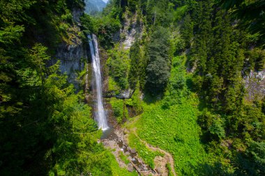 Maral Waterfall, Artvin, Borcka bölgesindeki Karal Dağları 'ndaki Maral Stream şelalesi. Şelale tek bir eğimden düşüyor, 63 metre yüksekliğinde..