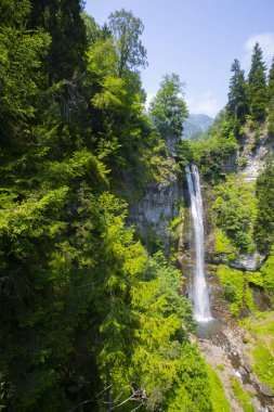 Maral Waterfall, Artvin, Borcka bölgesindeki Karal Dağları 'ndaki Maral Stream şelalesi. Şelale tek bir eğimden düşüyor, 63 metre yüksekliğinde..