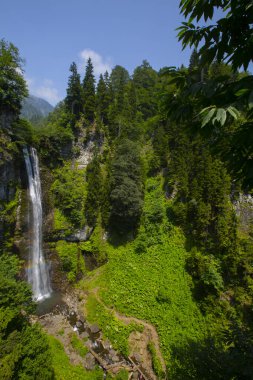 Maral Waterfall, Artvin, Borcka bölgesindeki Karal Dağları 'ndaki Maral Stream şelalesi. Şelale tek bir eğimden düşüyor, 63 metre yüksekliğinde..