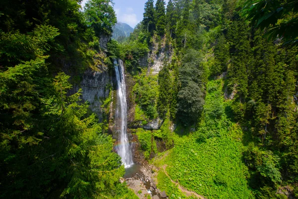 Maral Waterfall Artvin Tartomány Vízesés Maral Patak Karal Hegység Borcka — Stock Fotó