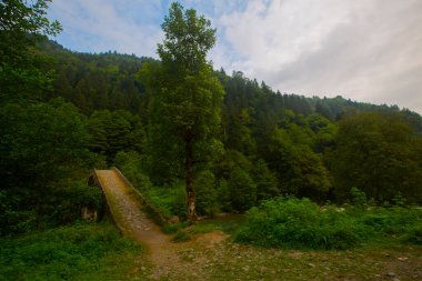 Senyuva Köprüsü, Rize 'nin Amlhemin ilçesinde bulunan bir kemer köprüdür. Köprü 40 metre uzunluğunda ve 20 metre yüksekliğindedir. Amlhemin bölgesinden 7 kilometre uzakta..