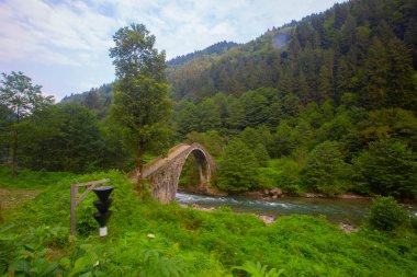 Senyuva Köprüsü, Rize 'nin Amlhemin ilçesinde bulunan bir kemer köprüdür. Köprü 40 metre uzunluğunda ve 20 metre yüksekliğindedir. Amlhemin bölgesinden 7 kilometre uzakta..