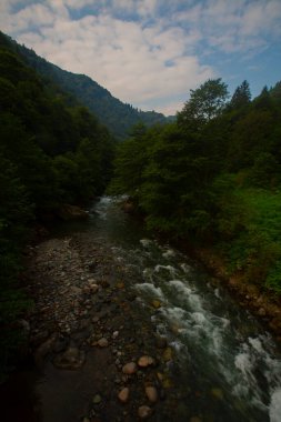Senyuva Köprüsü, Rize 'nin Amlhemin ilçesinde bulunan bir kemer köprüdür. Köprü 40 metre uzunluğunda ve 20 metre yüksekliğindedir. Amlhemin bölgesinden 7 kilometre uzakta..