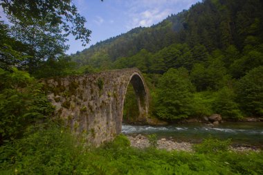Senyuva Köprüsü, Rize 'nin Amlhemin ilçesinde bulunan bir kemer köprüdür. Köprü 40 metre uzunluğunda ve 20 metre yüksekliğindedir. Amlhemin bölgesinden 7 kilometre uzakta..