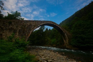 Senyuva Köprüsü, Rize 'nin Amlhemin ilçesinde bulunan bir kemer köprüdür. Köprü 40 metre uzunluğunda ve 20 metre yüksekliğindedir. Amlhemin bölgesinden 7 kilometre uzakta..