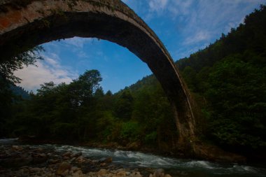 Senyuva Köprüsü, Rize 'nin Amlhemin ilçesinde bulunan bir kemer köprüdür. Köprü 40 metre uzunluğunda ve 20 metre yüksekliğindedir. Amlhemin bölgesinden 7 kilometre uzakta..