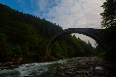 Senyuva Köprüsü, Rize 'nin Amlhemin ilçesinde bulunan bir kemer köprüdür. Köprü 40 metre uzunluğunda ve 20 metre yüksekliğindedir. Amlhemin bölgesinden 7 kilometre uzakta..