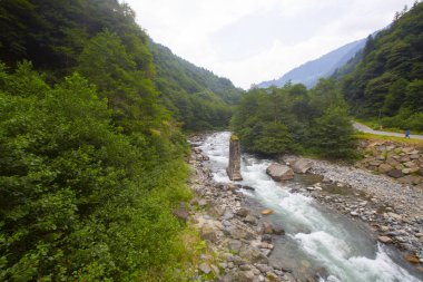 Senyuva Köprüsü, Rize 'nin Amlhemin ilçesinde bulunan bir kemer köprüdür. Köprü 40 metre uzunluğunda ve 20 metre yüksekliğindedir. Amlhemin bölgesinden 7 kilometre uzakta..