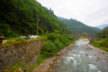 Senyuva Köprüsü, Rize 'nin Amlhemin ilçesinde bulunan bir kemer köprüdür. Köprü 40 metre uzunluğunda ve 20 metre yüksekliğindedir. Amlhemin bölgesinden 7 kilometre uzakta..