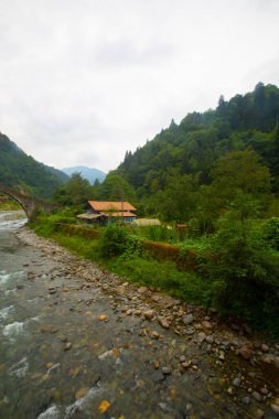 Senyuva Köprüsü, Rize 'nin Amlhemin ilçesinde bulunan bir kemer köprüdür. Köprü 40 metre uzunluğunda ve 20 metre yüksekliğindedir. Amlhemin bölgesinden 7 kilometre uzakta..