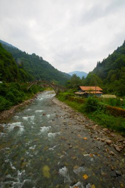 Senyuva Köprüsü, Rize 'nin Amlhemin ilçesinde bulunan bir kemer köprüdür. Köprü 40 metre uzunluğunda ve 20 metre yüksekliğindedir. Amlhemin bölgesinden 7 kilometre uzakta..