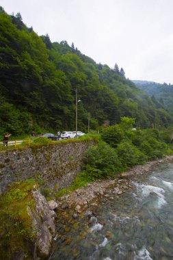 Senyuva Köprüsü, Rize 'nin Amlhemin ilçesinde bulunan bir kemer köprüdür. Köprü 40 metre uzunluğunda ve 20 metre yüksekliğindedir. Amlhemin bölgesinden 7 kilometre uzakta..