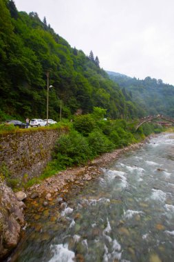 Senyuva Köprüsü, Rize 'nin Amlhemin ilçesinde bulunan bir kemer köprüdür. Köprü 40 metre uzunluğunda ve 20 metre yüksekliğindedir. Amlhemin bölgesinden 7 kilometre uzakta..