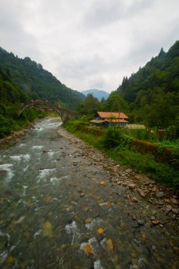 Senyuva Köprüsü, Rize 'nin Amlhemin ilçesinde bulunan bir kemer köprüdür. Köprü 40 metre uzunluğunda ve 20 metre yüksekliğindedir. Amlhemin bölgesinden 7 kilometre uzakta..