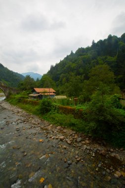 Senyuva Köprüsü, Rize 'nin Amlhemin ilçesinde bulunan bir kemer köprüdür. Köprü 40 metre uzunluğunda ve 20 metre yüksekliğindedir. Amlhemin bölgesinden 7 kilometre uzakta..