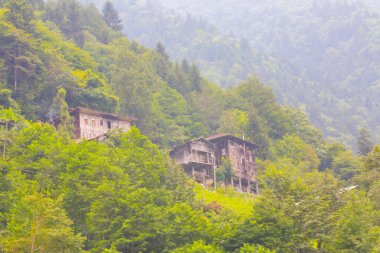 Senyuva Köprüsü, Rize 'nin Amlhemin ilçesinde bulunan bir kemer köprüdür. Köprü 40 metre uzunluğunda ve 20 metre yüksekliğindedir. Amlhemin bölgesinden 7 kilometre uzakta..