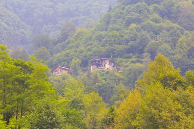 Senyuva Köprüsü, Rize 'nin Amlhemin ilçesinde bulunan bir kemer köprüdür. Köprü 40 metre uzunluğunda ve 20 metre yüksekliğindedir. Amlhemin bölgesinden 7 kilometre uzakta..