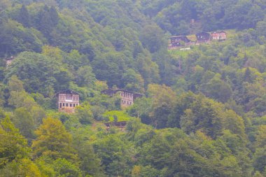 Senyuva Köprüsü, Rize 'nin Amlhemin ilçesinde bulunan bir kemer köprüdür. Köprü 40 metre uzunluğunda ve 20 metre yüksekliğindedir. Amlhemin bölgesinden 7 kilometre uzakta..